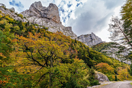 Driving through the Anso Valley to Zuriza, Valles Occidentales Natural Park in the Pyrenees, Aragon,...