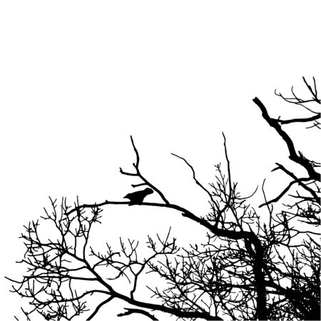 Vector black raven silhouette of a  tree. Black crow silhouette image on white background. Vector illustration.のイラスト素材