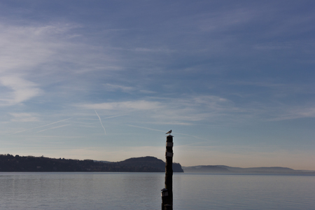 the lake, buildings and landscape in springの写真素材