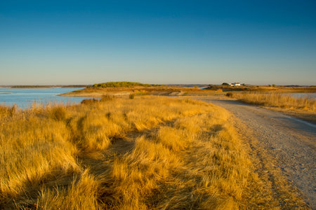 Sunrise at Alqueva lake, Alentejo, Portugal, with warm light over meadows and little house. Nature composition.の写真素材