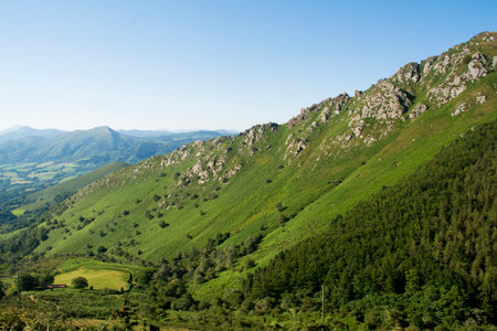 Mountain landscape with valley in green grass and blue sky, alpsの写真素材
