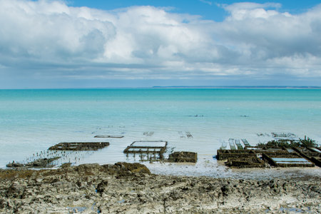 Oyster farm on the coast of the sea,~Cancale, Bretagne, Franceの写真素材