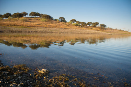 Reflection of trees in the water of a lake in Alentejo, Portugalの写真素材