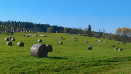 Meadow with straw hay in autumnの写真素材