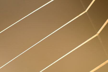Detail of four threads of spider net with blurred background