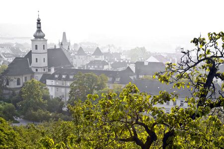 Sunrise in Prague, desaturated panorama with only green trees in foregroundの写真素材