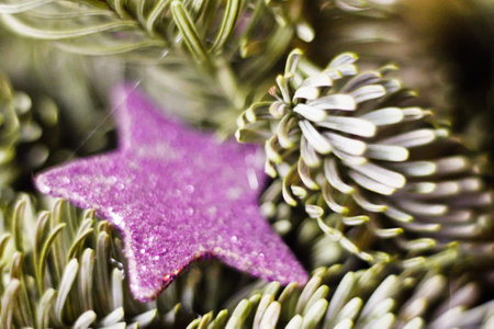 Detail of christmas star on fir needles