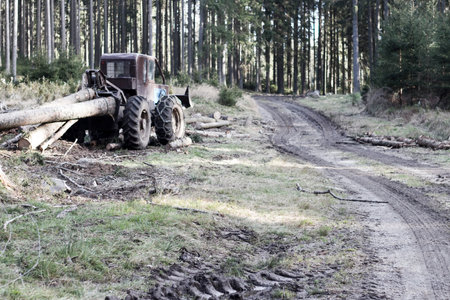 Old tractor in the forest with logsの写真素材