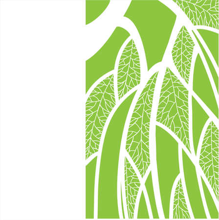 abstract background with the image of the birchのイラスト素材