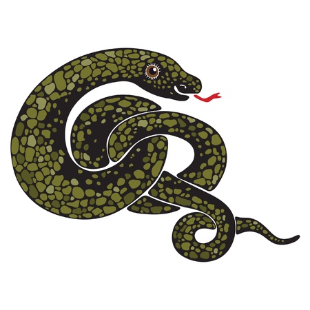 Isolated image of a large snake curledのイラスト素材