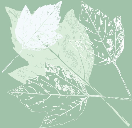 Seamless texture element  Autumn background with leaves  Vector illustrationのイラスト素材