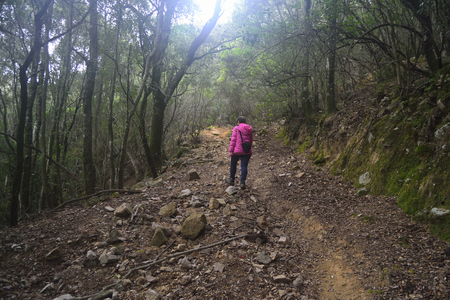 Walking in the wood of Rio Montesaliの写真素材