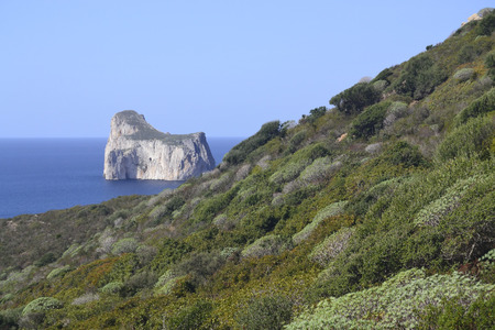 Coast of Masuaの写真素材