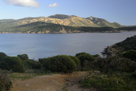 Coast of Capo Malfatanoの写真素材