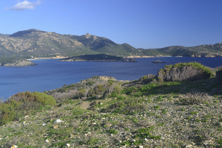 Coast of Capo Malfatanoの写真素材