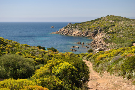 The coast of Capo Spartiventoの写真素材