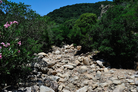 View of Rio Palacerisの写真素材