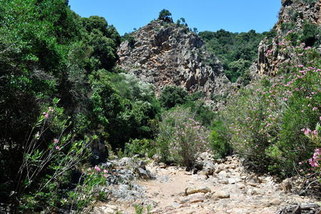 View of Rio Palacerisの写真素材