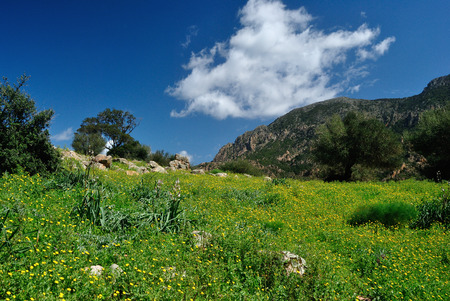 View of Giradroxiu placeの写真素材