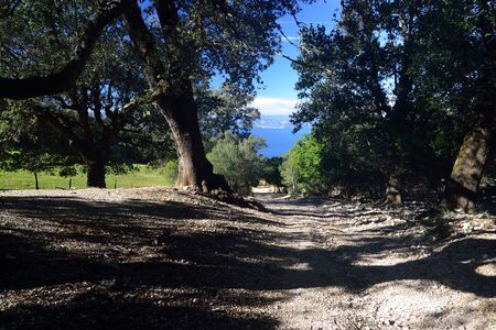 Path to Punta Salinasの写真素材