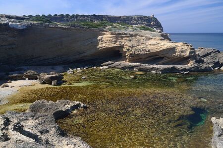 Coast of Capo Mannuの写真素材
