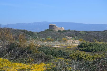 Tower of Capo Mannuの写真素材