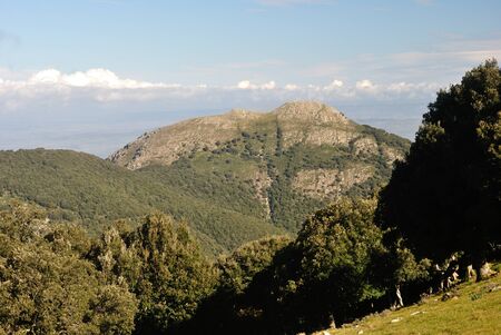 View of Monte Margiani from Punte Santu mialiの写真素材