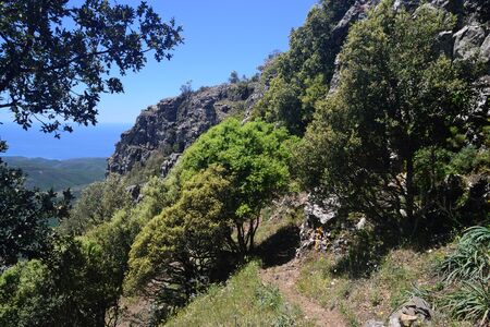 View of Monte Arcuentuの写真素材
