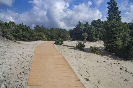 View of Is Solinas beachの写真素材