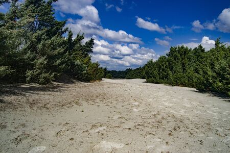 View of Is Solinas beachの写真素材