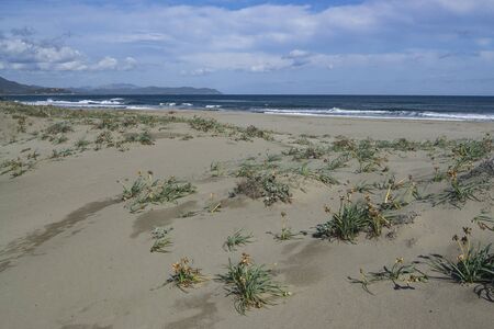 View of the Feraxi beachの写真素材