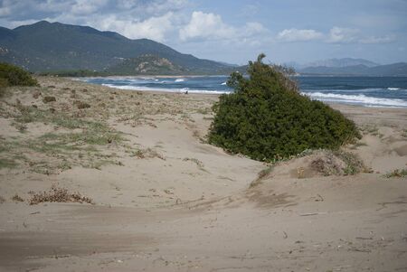 View of the Feraxi beachの写真素材