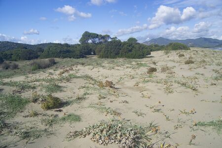 View of the Feraxi beachの写真素材