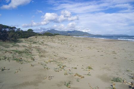 View of the Feraxi beachの写真素材