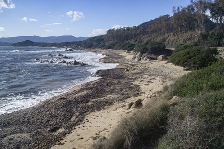 View of Capo Ferrato coastの写真素材