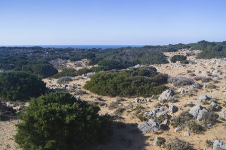 Sand dunes of outback of Cala Domesticaの写真素材