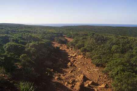 The path from Buggerru to Cala Domesticaの写真素材