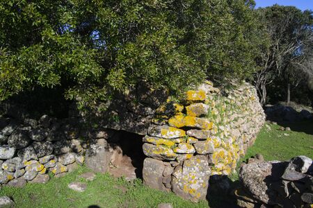 Refuge of the pigs, called Aurraの写真素材