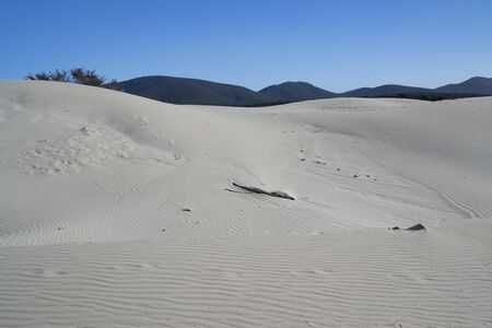 The white dunes of Is Arenas Biancas, Teuladaの写真素材