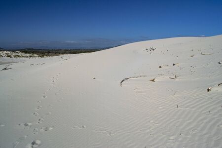 The white dunes of Is Arenas Biancas, Teuladaの写真素材