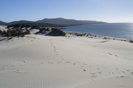 The white dunes of Is Arenas Biancas, Teuladaの写真素材