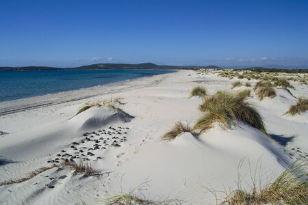 The white dunes of is Arenas Biancas, Teuladaの写真素材