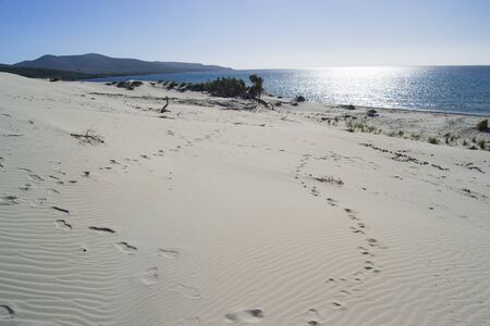The white dunes of is Arenas Biancas, Teuladaの写真素材