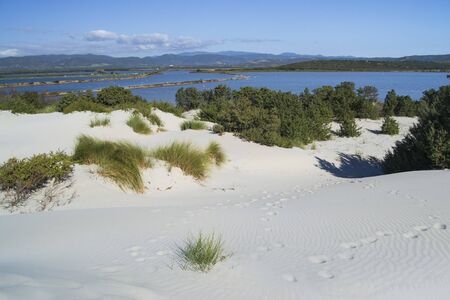 The white dunes of is Arenas Biancas, Teuladaの写真素材
