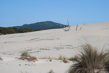 The white dunes of Is Arenas Biancas, Teuladaの写真素材