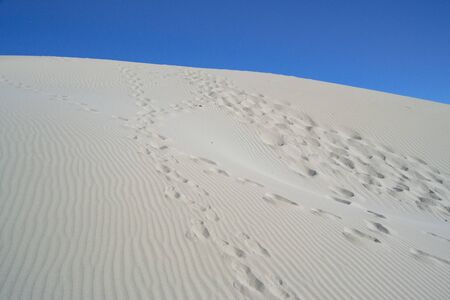 The white dunes of Is Arenas Biancas, Teuladaの写真素材