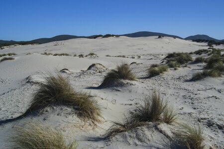 The white dunes of Is Arenas Biancas, Teuladaの写真素材