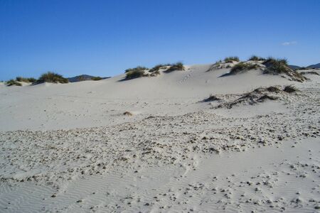 The white dunes of Is Arenas Biancas, Teuladaの写真素材
