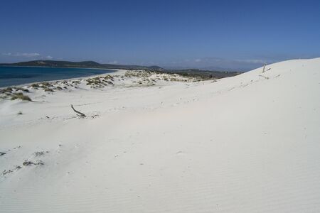 The white dunes of Is Arenas Biancas, Teuladaの写真素材