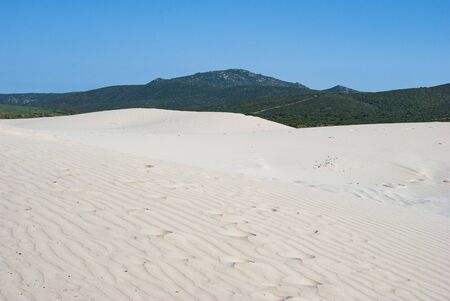 The white dunes of is Arenas Biancas, Teuladaの写真素材